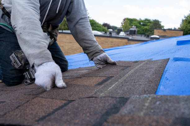 Best Local Roofing Companies  in Richmond, MI