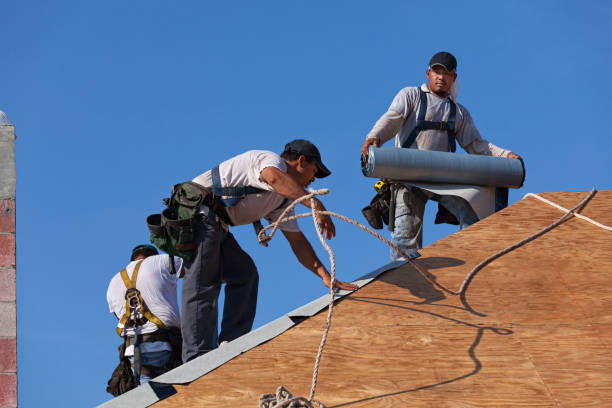 Best Flat Roof Repair Services  in Richmond, MI