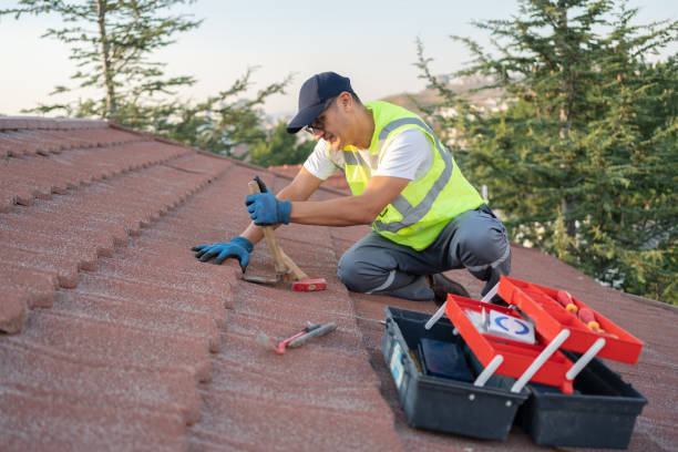 Best Roof Restoration Services  in Richmond, MI