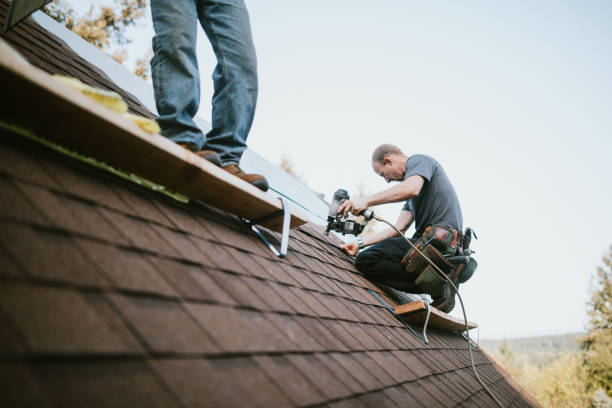 Best New Roof Installation  in Richmond, MI